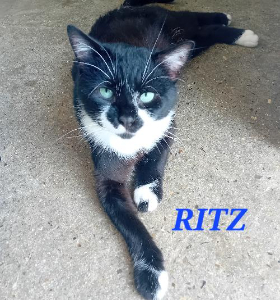 Photo de Ritz