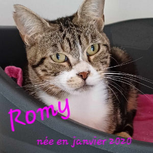 Photo de ROMY