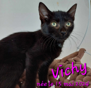 Photo de VICHY